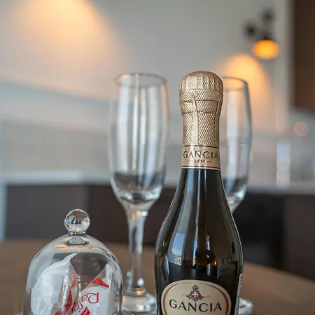 Nad Odra - Luksusowy Z Widokiem Na Odre, Tarasem I Klimatyzacja # Lejlighed *