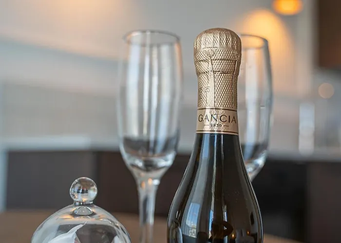 Nad Odra - Luksusowy Z Widokiem Na Odre, Tarasem I Klimatyzacja # شقة *